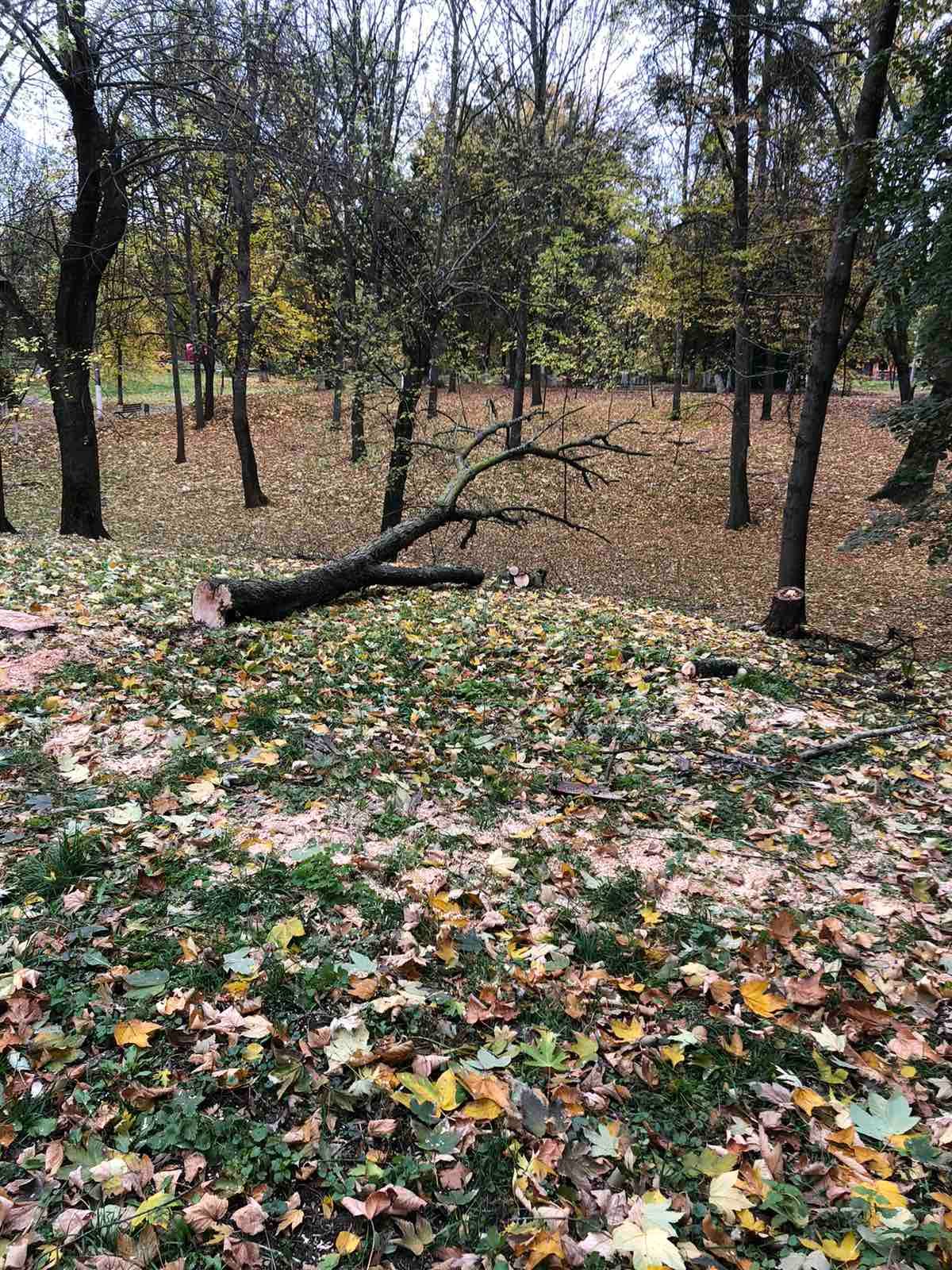 Прибирання